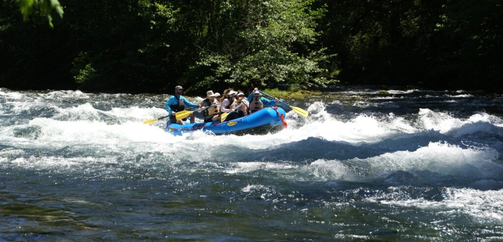 Maple Ridge Rafting McKenzie River Rafting Trips Multi-Day- Oregon River Experiences