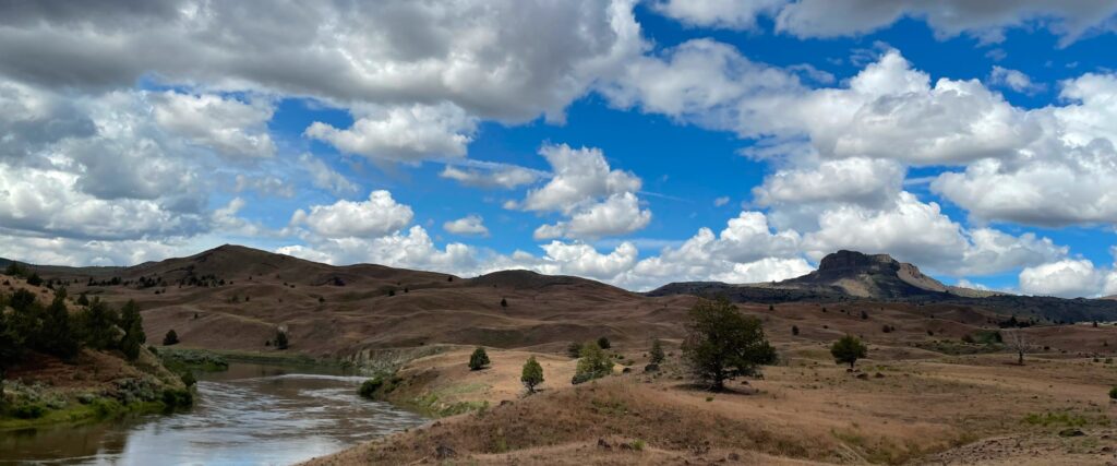 A wide shot of golden grasslands and the John Day River during a blue sky day with fluffy white clouds.