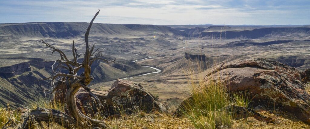 A stunning landscape photo showcasing the Owhyee River, golden grasslands, and surrounding canyons.
