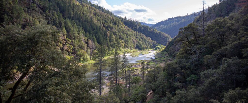 A beautiful river bend with lush green forests in Oregon.