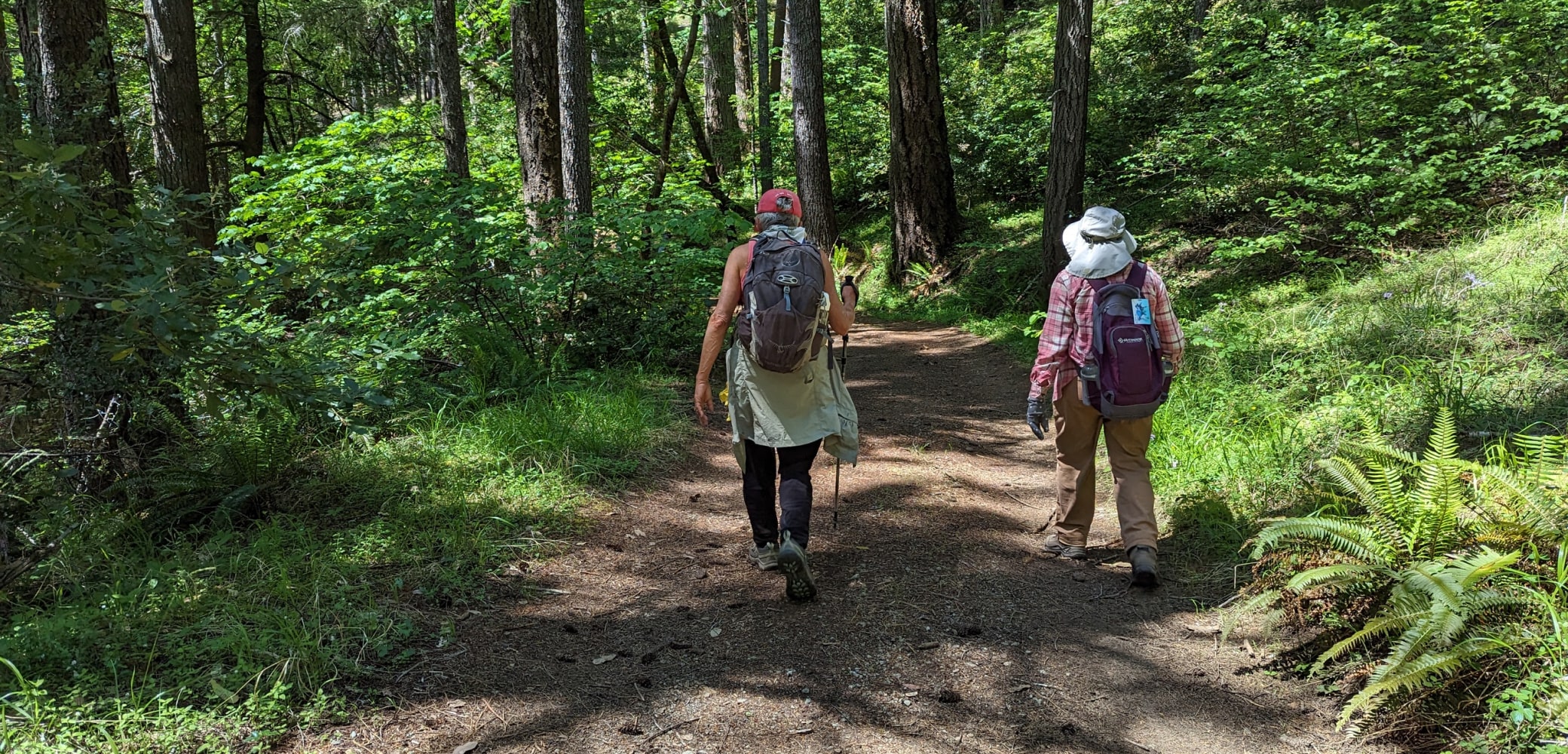 Two hikers walk down an Oregon trail in a lush green forest during a road scholar trip.
