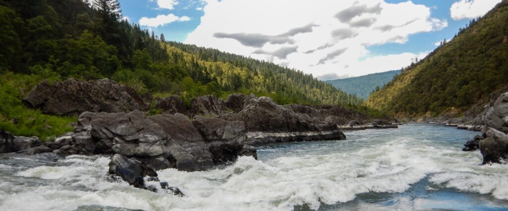 A section of white water rapids and rocks along the Rogue River with lush green forest on a blue sky day.